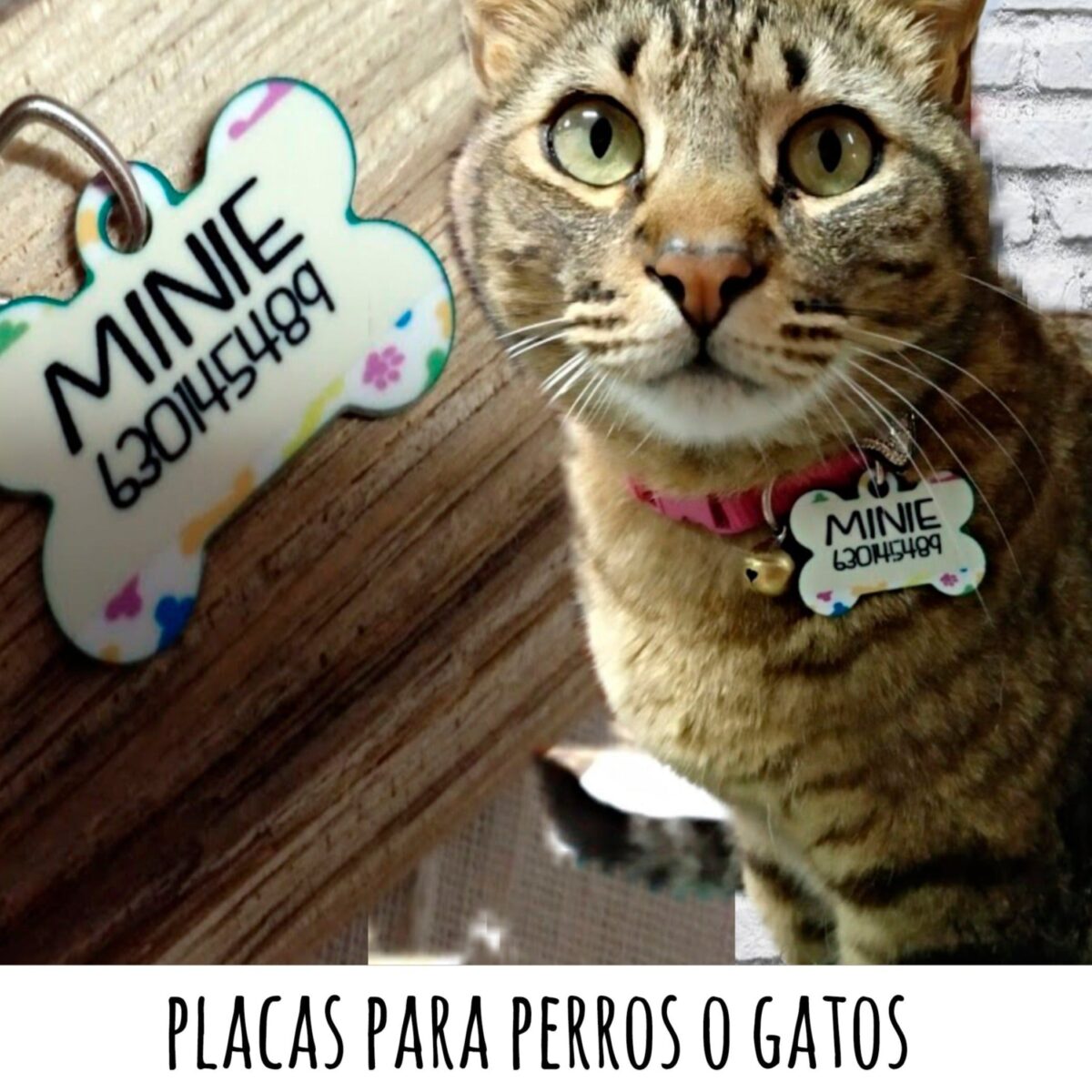 Chapa para mascotas perro o gato - Imagen 1