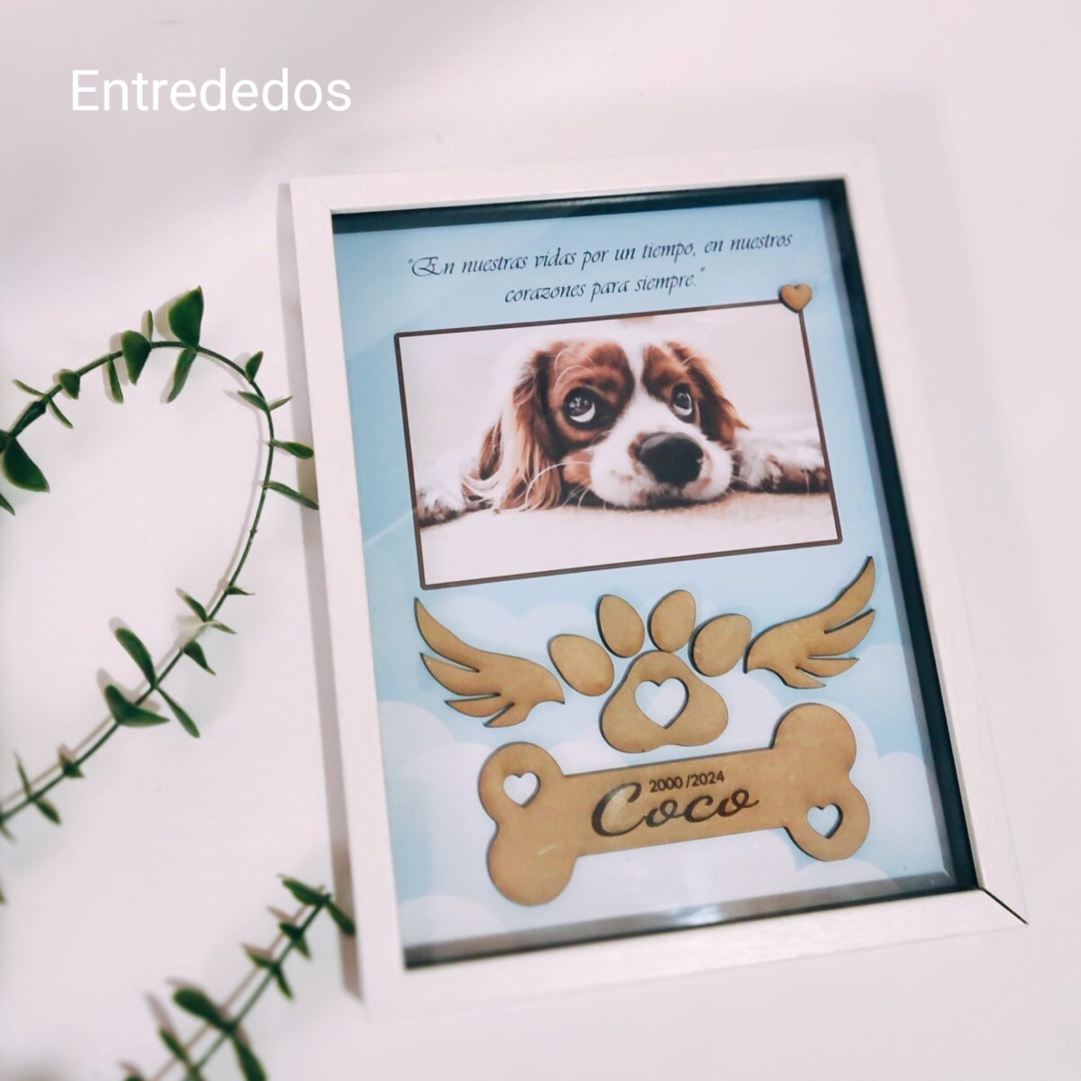Marco y Lámina recuerdo de tu mascota fallecida - Imagen 3