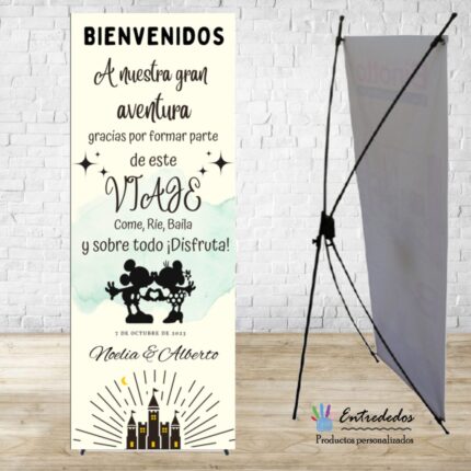 Banner para eventos MICKEY Y MINNIE