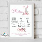 Marco y Lámina natalicio diseño CONEJITO