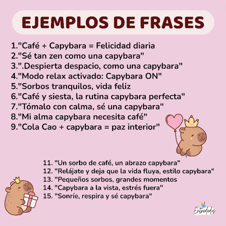 frases-capybaras-02 Kit de Regalo Personalizado Capybara – Tierno, Práctico - Imagen 6