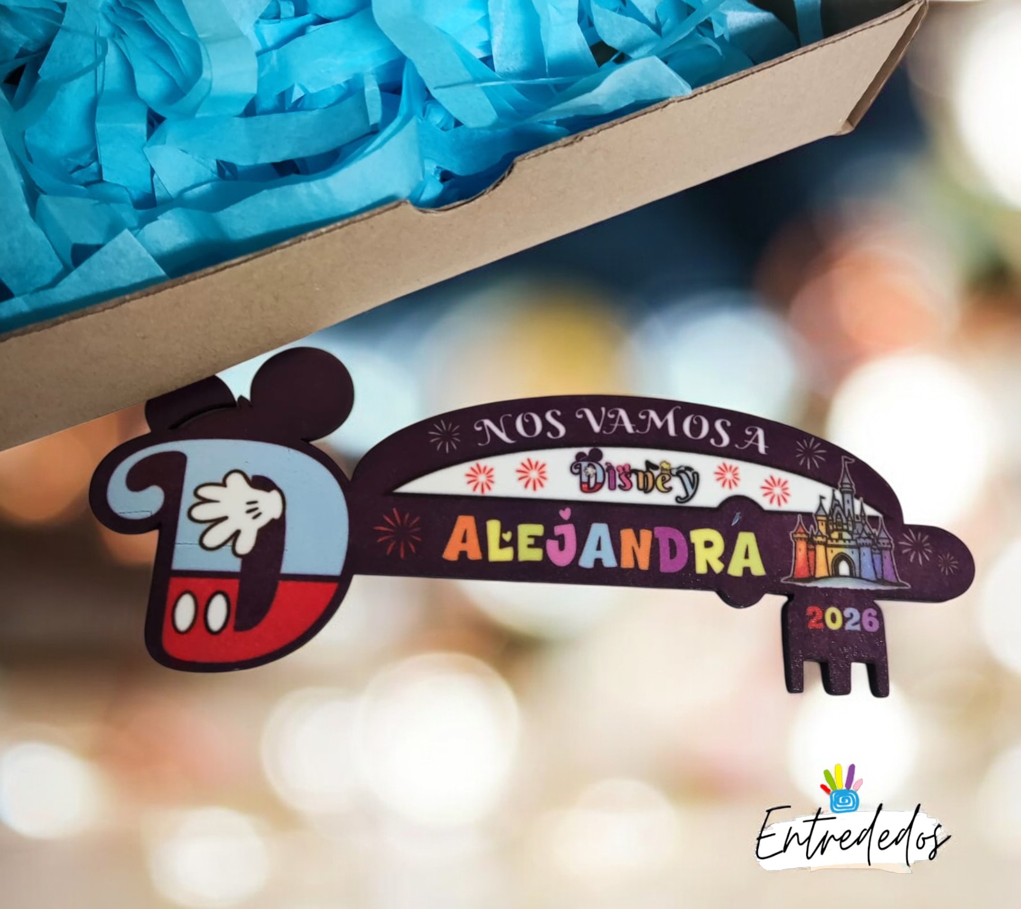 ave-personalizada-viaje-Disney-parque Llave Mágica para un Viaje Inolvidable - Imagen 1